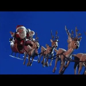 Meet your Posher, Paul